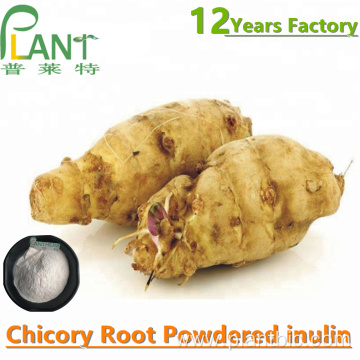 Organic inulin powder chicory root extract